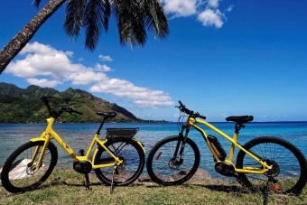 ML11:電動自転車 レンタル