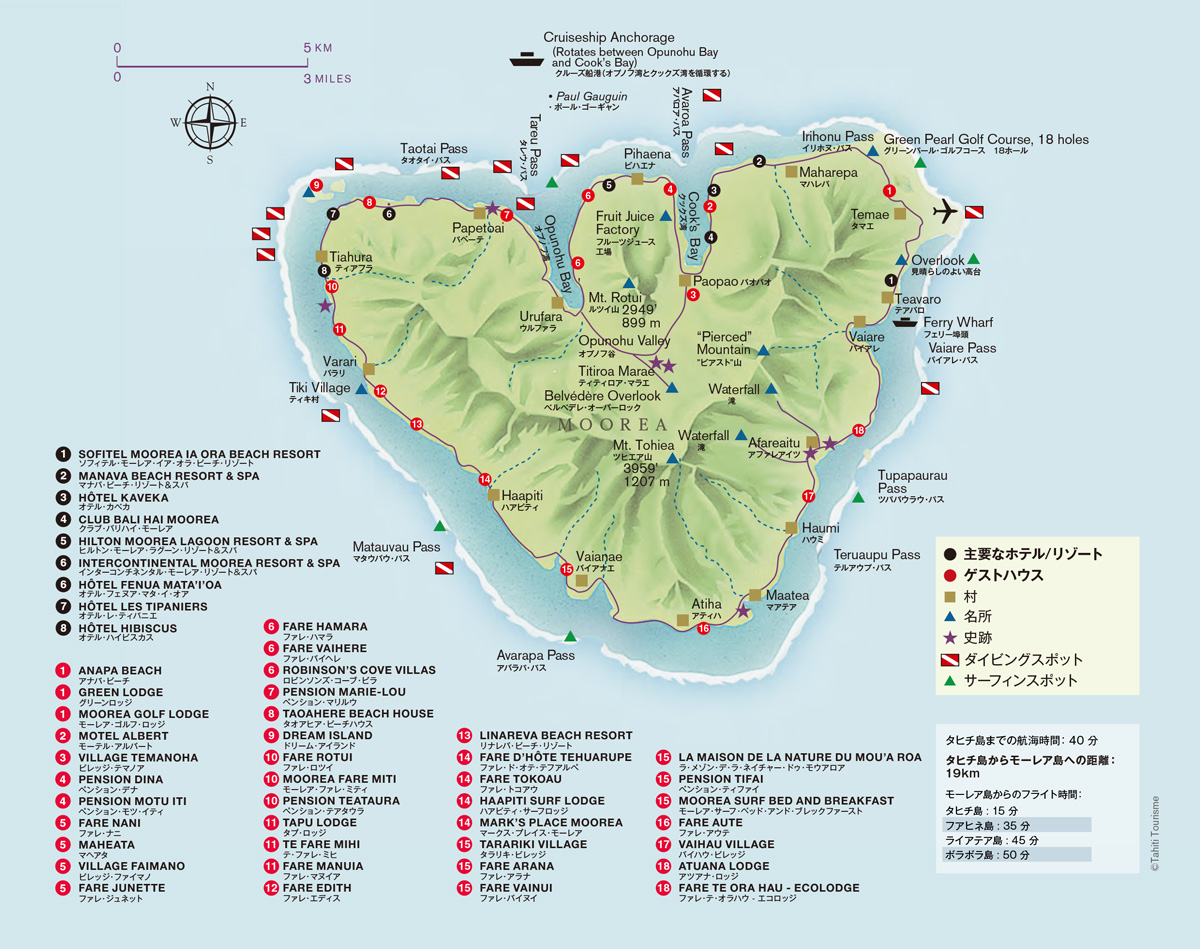 モーレア島の楽しみ方 魅力 観光スポット タヒチウェディング トラベル